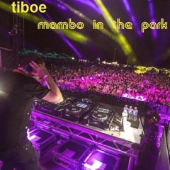 Mambo In The Park