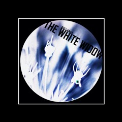 Ballarak - The White Widow (Original Mix)