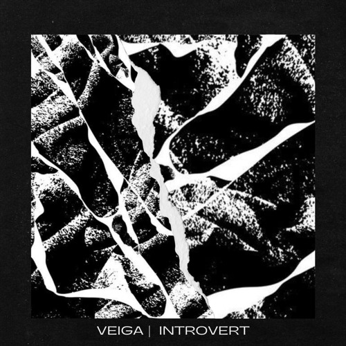 FMD PREMIERE: Veiga - Introvert [CTDGTL010]