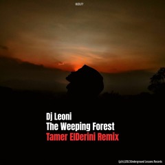 The Weeping Forest Dj Leoni Ft Tamer ElDerini