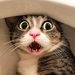 Party prod. @fiftysixten