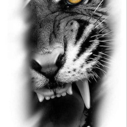 Is what it is... Created 2010 Instrumental