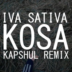 Iva Sativa - Kosa (Kapshul Liquid Drum and Bass Remix)