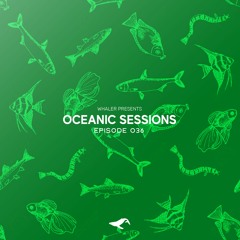 Oceanic Sessions 036 (Live at Palais Rooftop)