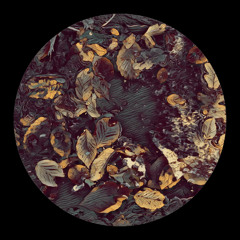 PREMIERE: Caesar - Fortress