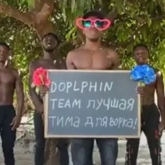 DOLPHIN TEAM