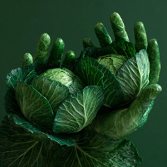 Cabbage Hands