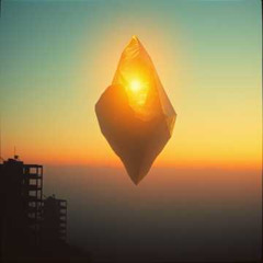 The Last Son of the Sun