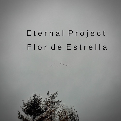 Eternal Project- Flor De Estrella