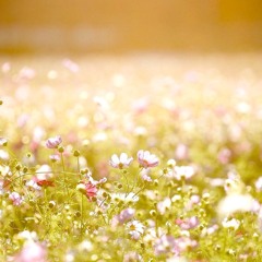 For You