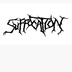 S I R P I X A L O T  M A Y H E M %100