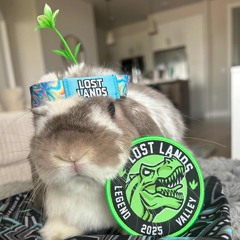 Rave Bunny