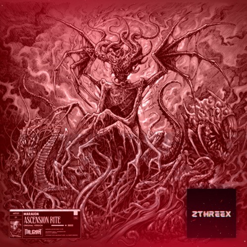 MARAUDA - HUSK [ZTRX Edit]