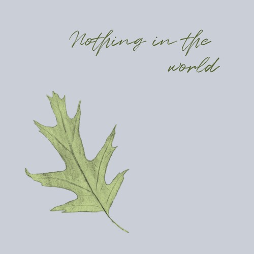 Nothing in the world