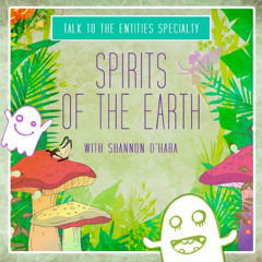 Intelligent connection with the nature and the spirits of the nature