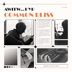 Common Bliss (feat. PYB)