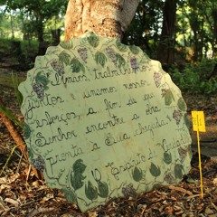 14.08.2021  - Cap. V - Bem Aventurados os Aflitos - Tormentos Voluntários (4)