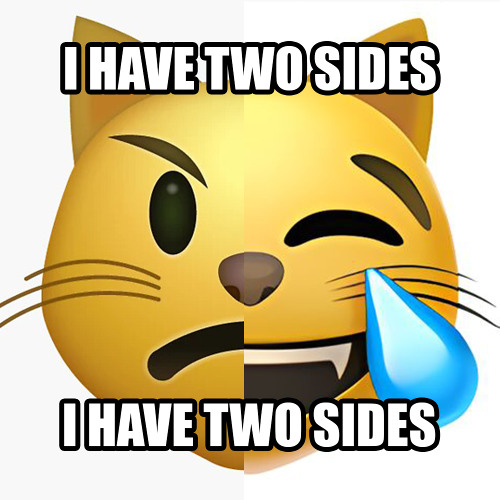 emoji chat qui rigole 😹😹😹 + 7sko [glorygasp]