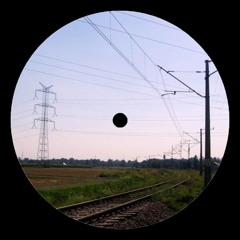MRV - Trans 2