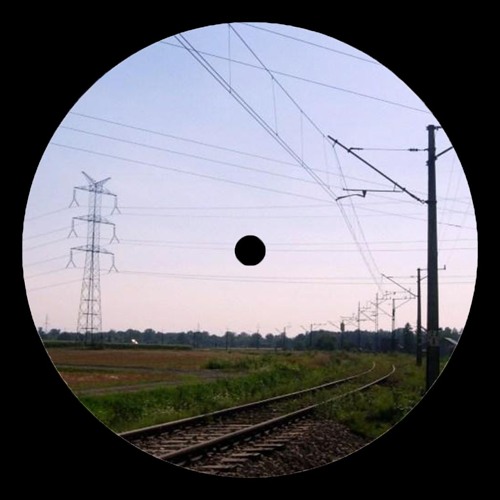 MRV - Trans 2