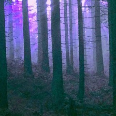 Badwoods - Under A Dark Moon