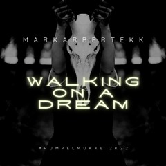 WALKING ON A DREAM