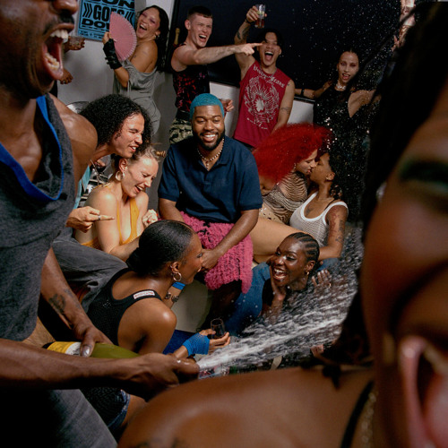 in plain sight (Disco Fries Remix - Extended)