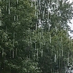 A Little Rain
