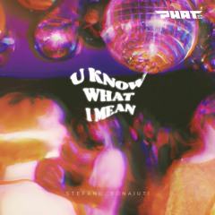 Stefano Bonaiuti - U Know What I Mean (Original Mix)