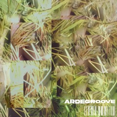 arde~~~groove
