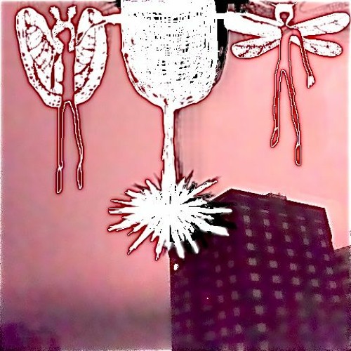 iPhorever & Secret Moment - supermercado [MK PREMIERE]