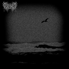 Without Hope /clip