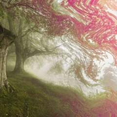 Psycheledic Trance / Goa