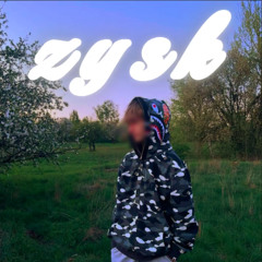 ZYSK
