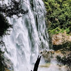 සොයා යාම