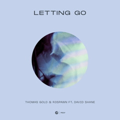Thomas Gold & R3SPAWN ft. David Shane - Letting Go