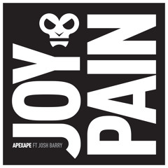 Joy & Pain (feat. Josh Barry) [Radio Edit]