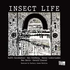 'Scene Thirteen' by INSECT LIFE