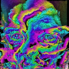 dauerst3if - Psylocobin over Ephedrin