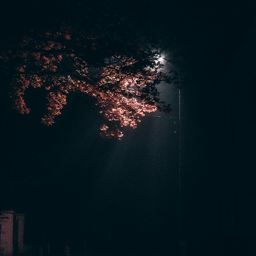 10. Broken