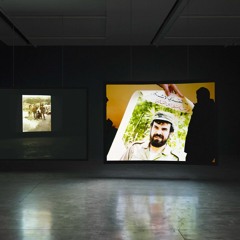 Lawerence Abu Hamdan's "For The Otherwise Unaccounted" Described Tour