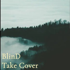 Take Cover-   Blind
