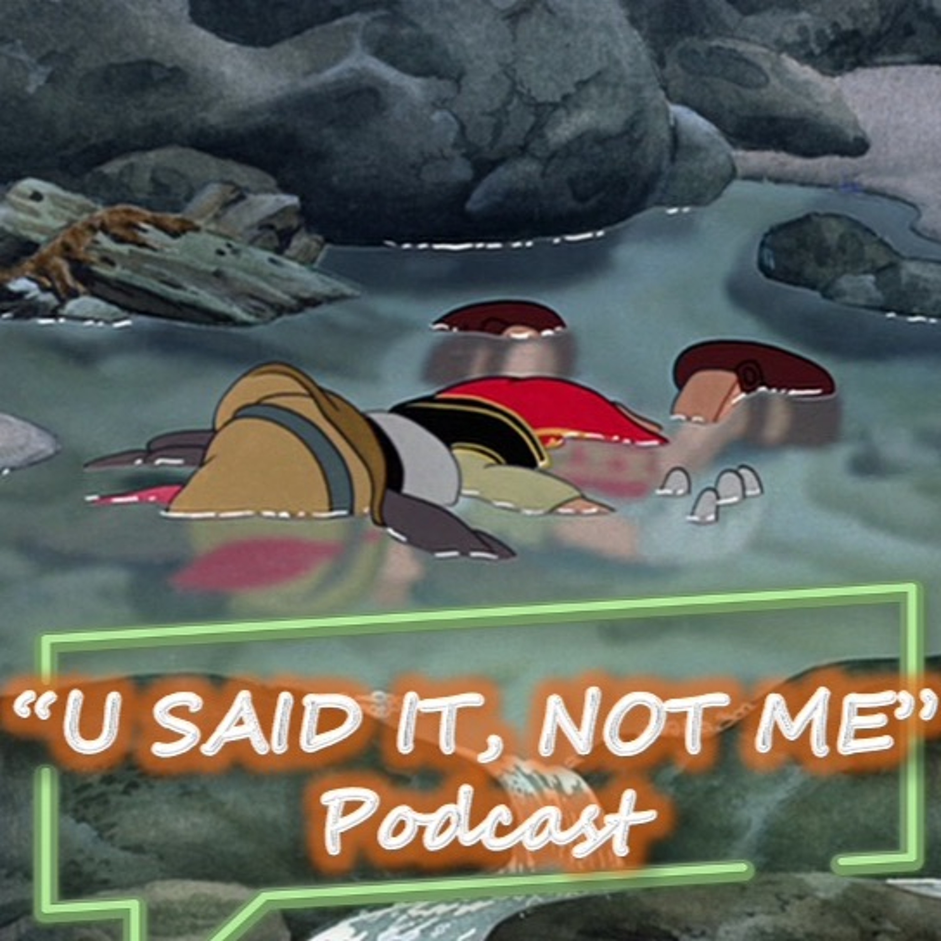 U Said It, Not Me