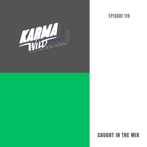 CAUGHT IN THE MIX - 119 (Played at House of Chapora,Goa)