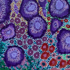 Fantastic Purple Spots - Flowerland