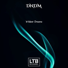 DNDM - Wildest Dreams