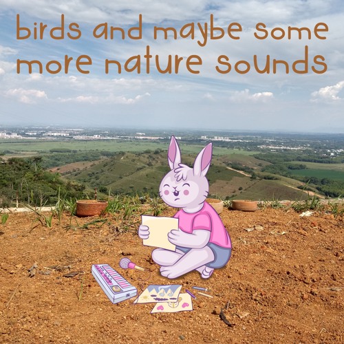 birds and maybe some more nature sounds