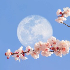 Moon Princess- Flower Moon