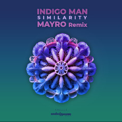 Indigo Man - Similarity (Mayro Remix) [Undergroove Music] [Out Now On Beatport!]