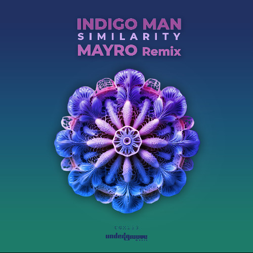 Indigo Man - Similarity (Mayro Remix) [Undergroove Music] [Out Now On Beatport!]